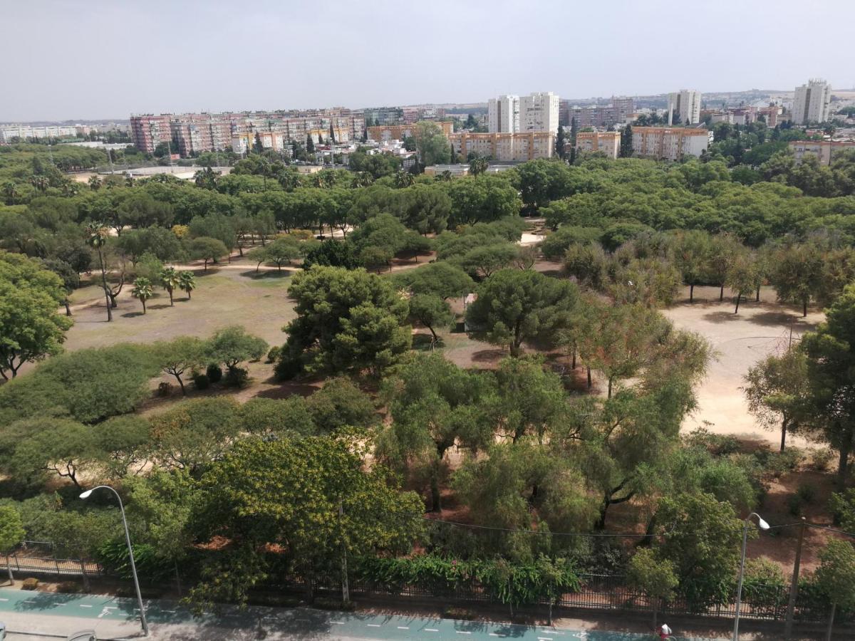 Apartamentos Flamenco B&B Sevilla Eksteriør bilde