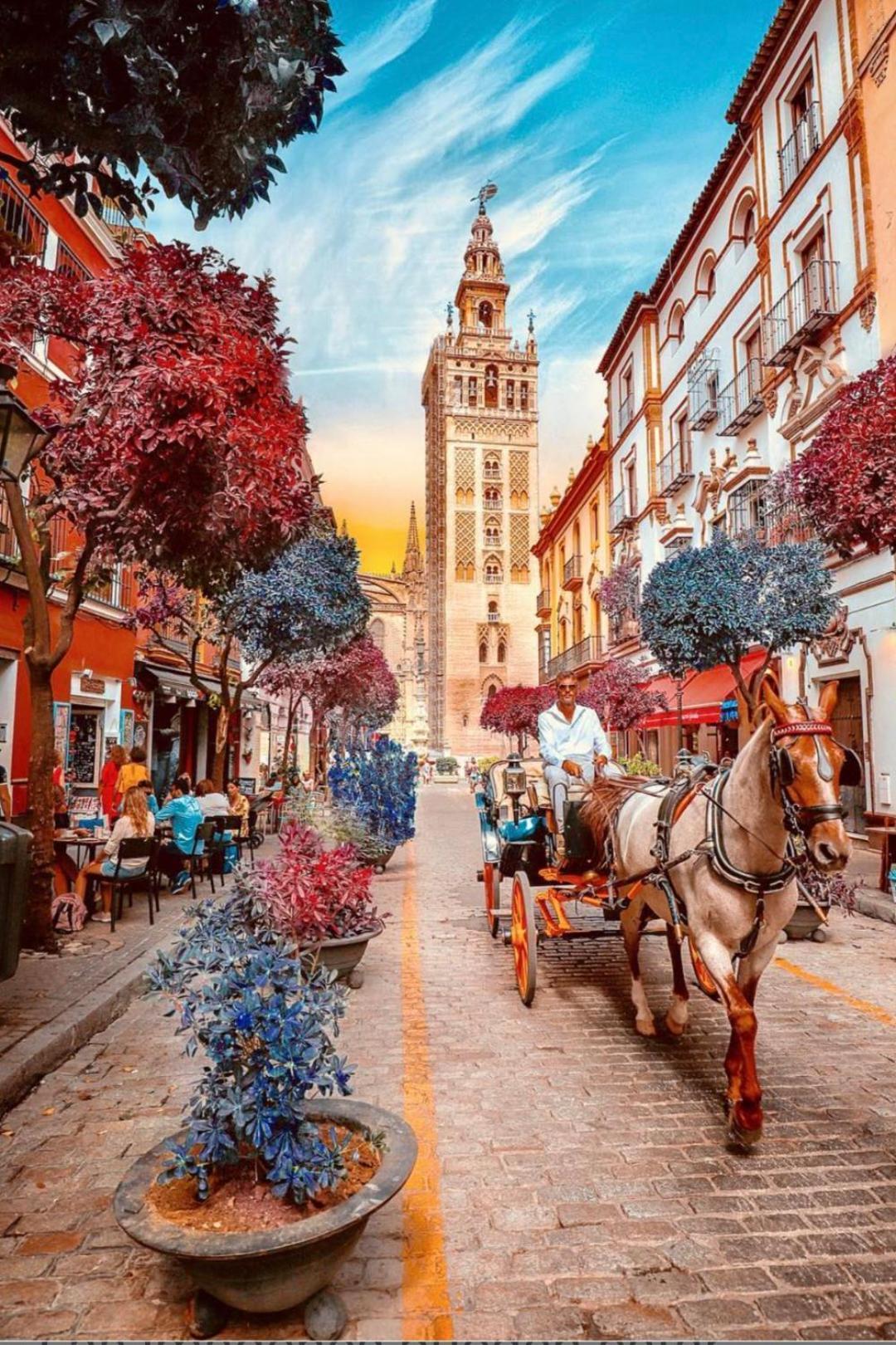 Apartamentos Flamenco B&B Sevilla Eksteriør bilde